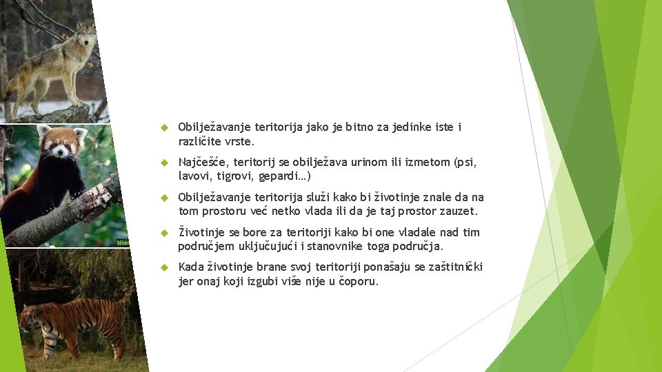  Obilježavanje teritorija jako je bitno za jedinke iste i različite vrste. Najčešće, teritorij