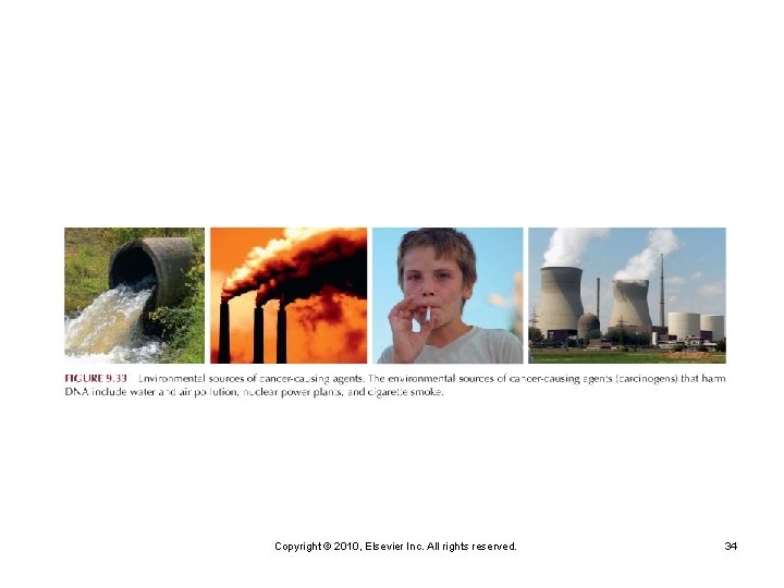 Copyright © 2010, Elsevier Inc. All rights reserved. 34 