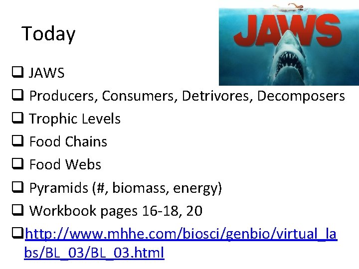 Today q JAWS q Producers, Consumers, Detrivores, Decomposers q Trophic Levels q Food Chains