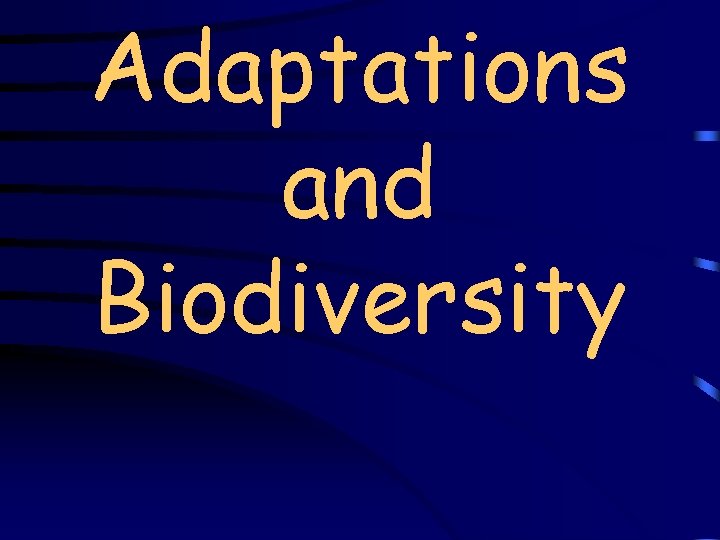 Adaptations and Biodiversity 