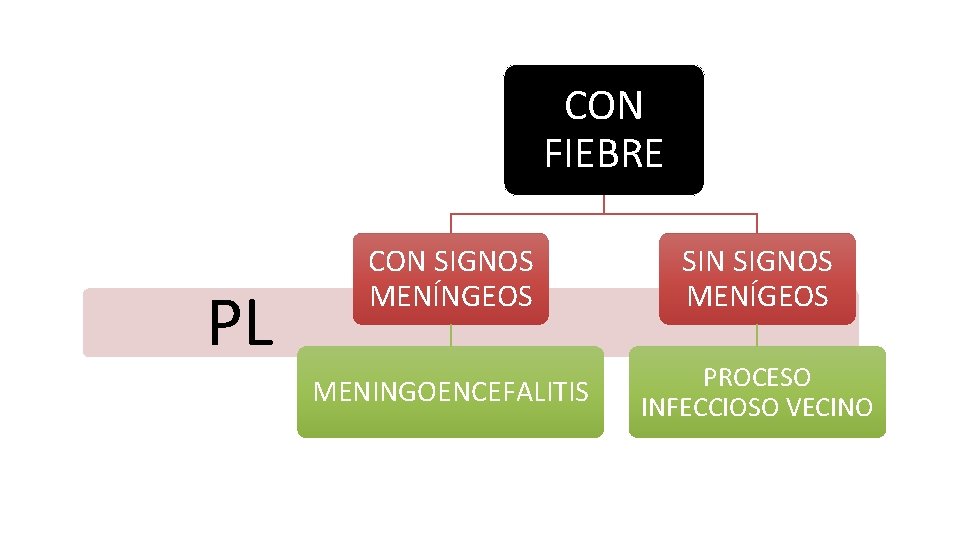 CON FIEBRE PL CON SIGNOS MENÍNGEOS SIN SIGNOS MENÍGEOS MENINGOENCEFALITIS PROCESO INFECCIOSO VECINO 