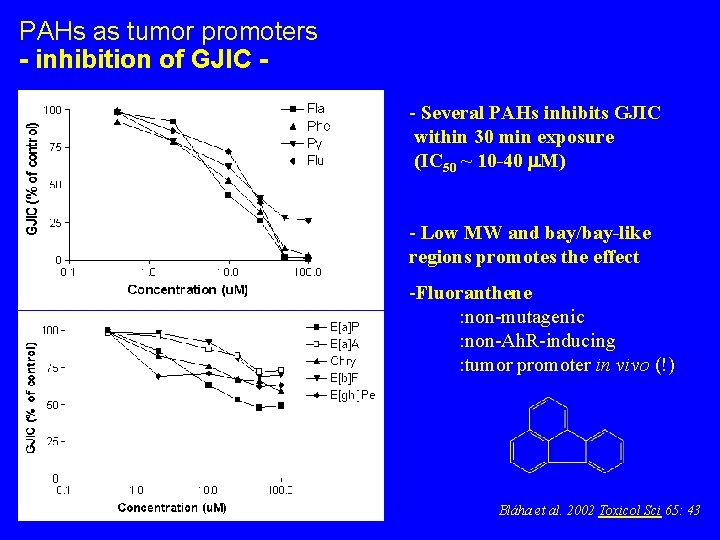 PAHs as tumor promoters - inhibition of GJIC - Several PAHs inhibits GJIC within