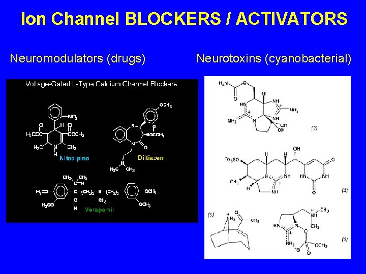 Ion Channel BLOCKERS / ACTIVATORS Neuromodulators (drugs) Neurotoxins (cyanobacterial) 