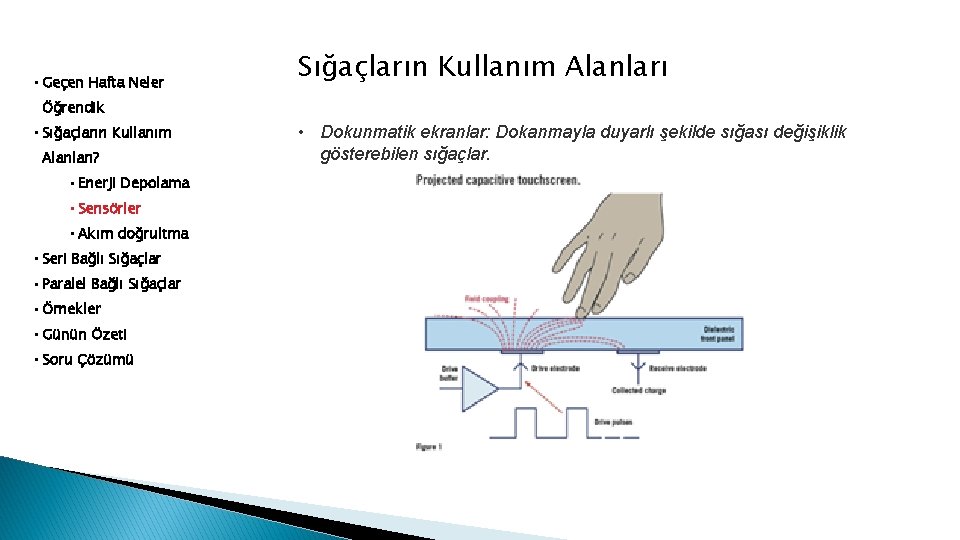  • Geçen Hafta Neler Sığaçların Kullanım Alanları Öğrendik • Sığaçların Kullanım Alanları? •