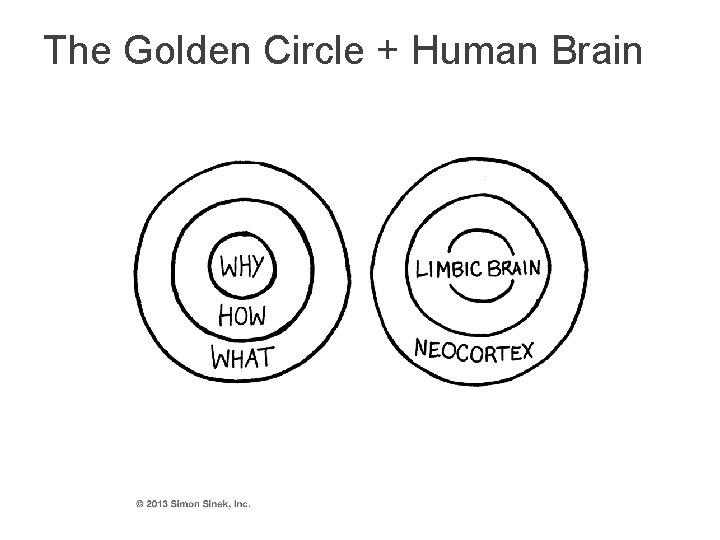 The Golden Circle + Human Brain 