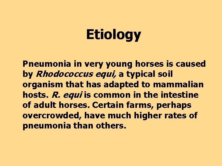 Etiology Pneumonia in very young horses is caused by Rhodococcus equi, a typical soil