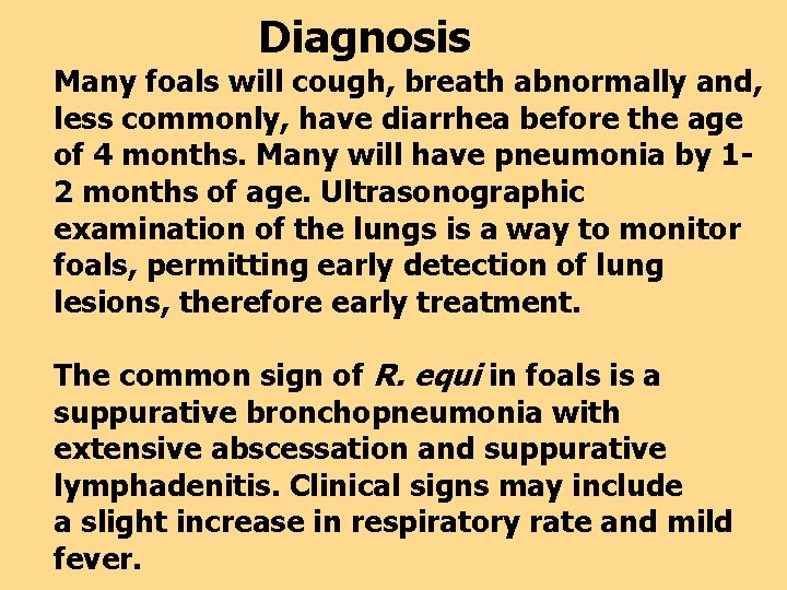 Diagnosis Many foals will cough, breath abnormally and, less commonly, have diarrhea before the