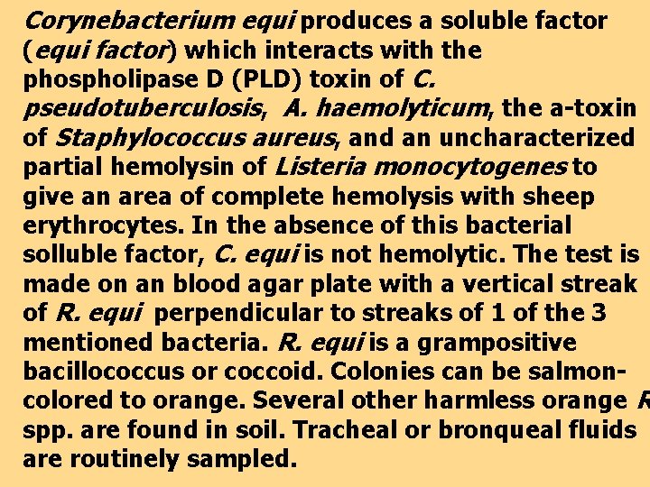 Corynebacterium equi produces a soluble factor (equi factor) which interacts with the phospholipase D