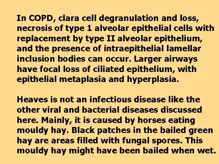 In COPD, clara cell degranulation and loss, necrosis of type 1 alveolar epithelial cells