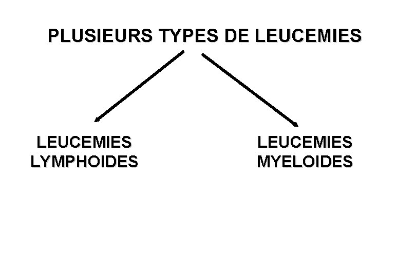 PLUSIEURS TYPES DE LEUCEMIES LYMPHOIDES LEUCEMIES MYELOIDES 