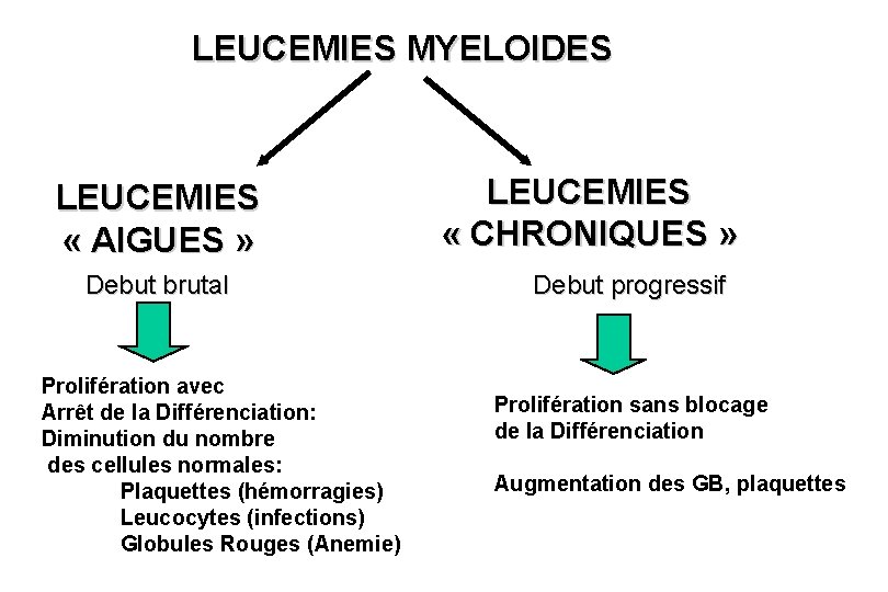 LEUCEMIES MYELOIDES LEUCEMIES « AIGUES » Debut brutal Prolifération avec Arrêt de la Différenciation: