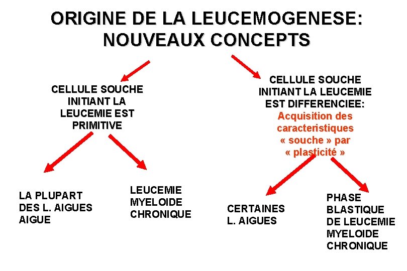 ORIGINE DE LA LEUCEMOGENESE: NOUVEAUX CONCEPTS CELLULE SOUCHE INITIANT LA LEUCEMIE EST PRIMITIVE LA