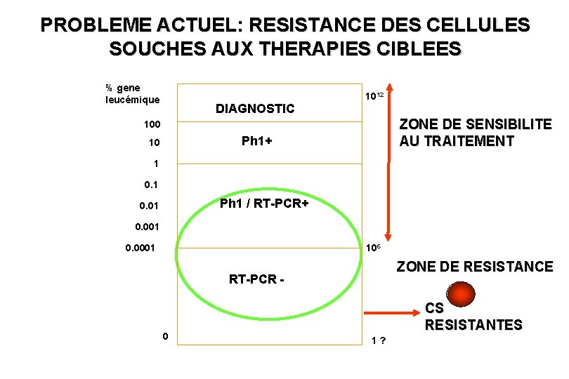 PROBLEME ACTUEL: RESISTANCE DES CELLULES SOUCHES AUX THERAPIES CIBLEES % gene leucémique DIAGNOSTIC 1012