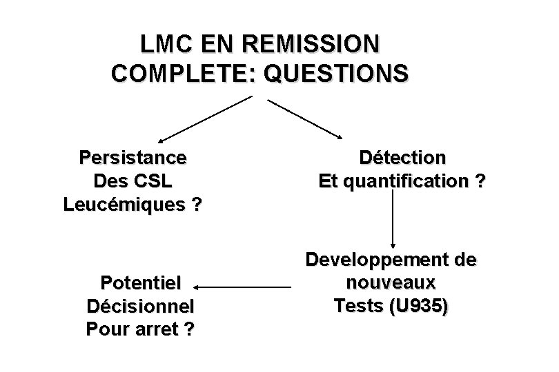 LMC EN REMISSION COMPLETE: QUESTIONS Persistance Des CSL Leucémiques ? Potentiel Décisionnel Pour arret