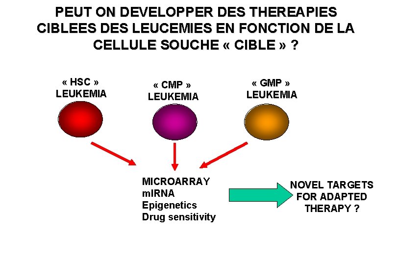 PEUT ON DEVELOPPER DES THEREAPIES CIBLEES DES LEUCEMIES EN FONCTION DE LA CELLULE SOUCHE