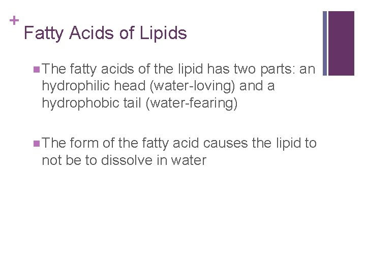 + Fatty Acids of Lipids n The fatty acids of the lipid has two