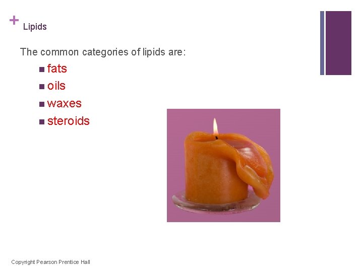 + Lipids The common categories of lipids are: n fats n oils n waxes