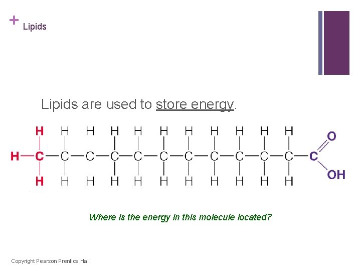 + Lipids are used to store energy. Where is the energy in this molecule