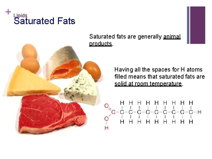 + Lipids Saturated Fats Saturated fats are generally animal products. Having all the spaces