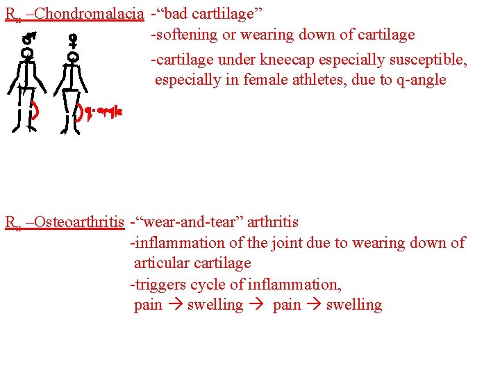 Rx –Chondromalacia -“bad cartlilage” -softening or wearing down of cartilage -cartilage under kneecap especially