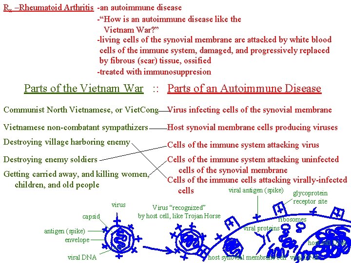 Rx –Rheumatoid Arthritis -an autoimmune disease -“How is an autoimmune disease like the Vietnam