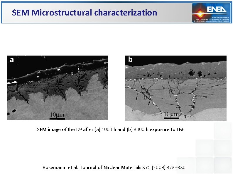 SEM Microstructural characterization SEM image of the D 9 after (a) 1000 h and SEM Microstructural characterization SEM image of the D 9 after (a) 1000 h and