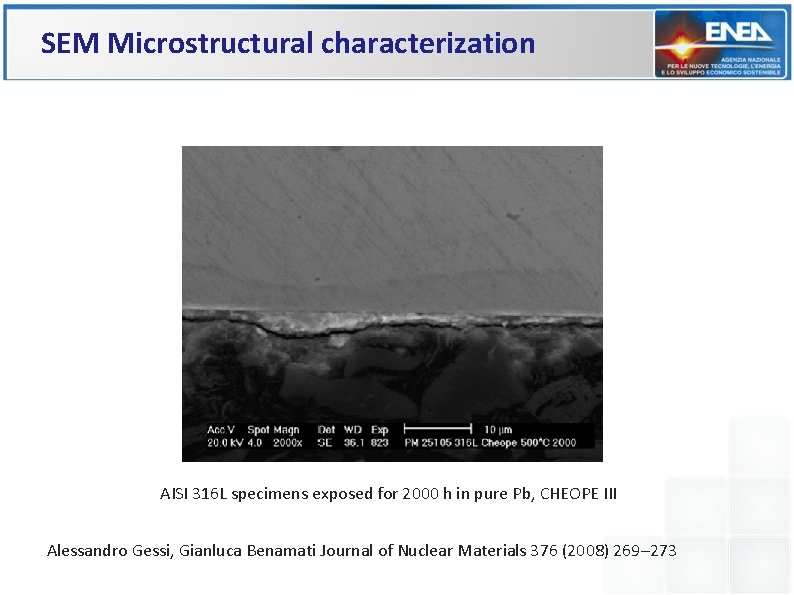 SEM Microstructural characterization AISI 316 L specimens exposed for 2000 h in pure Pb, SEM Microstructural characterization AISI 316 L specimens exposed for 2000 h in pure Pb,