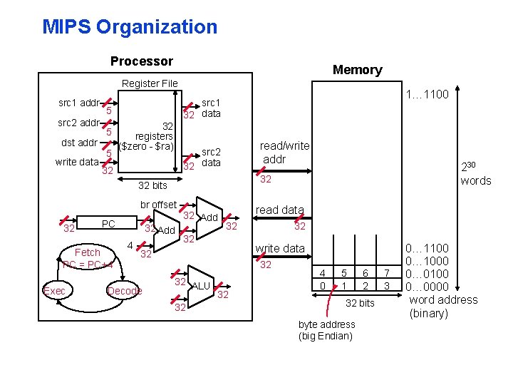 MIPS Organization Processor Memory Register File src 1 addr src 2 addr dst addr