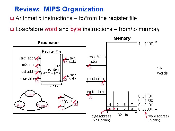 Review: MIPS Organization q Arithmetic instructions – to/from the register file q Load/store word