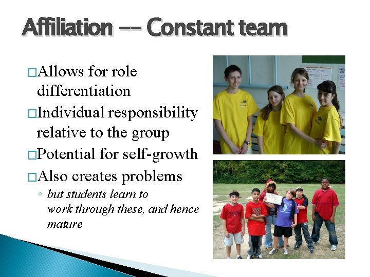 Affiliation -- Constant team �Allows for role differentiation �Individual responsibility relative to the group