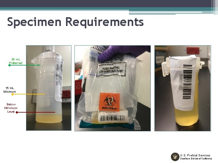 Specimen Requirements 30 m. L Preferred 15 m. L Minimum Below Minimum Level U.