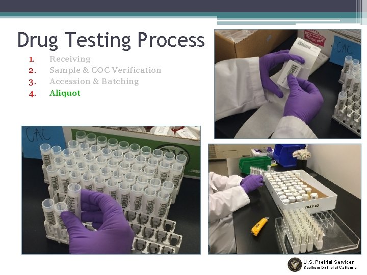 Drug Testing Process 1. 2. 3. 4. Receiving Sample & COC Verification Accession &