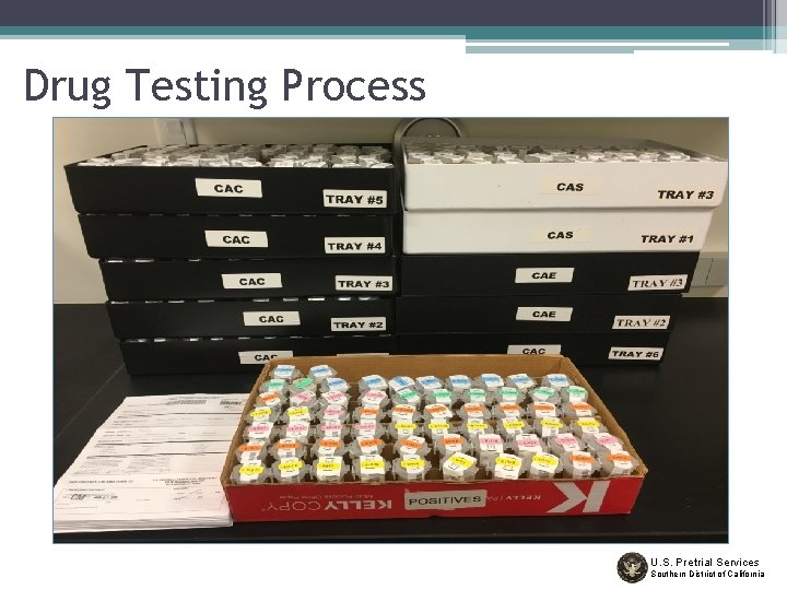 Drug Testing Process U. S. Pretrial Services Southern District of California 