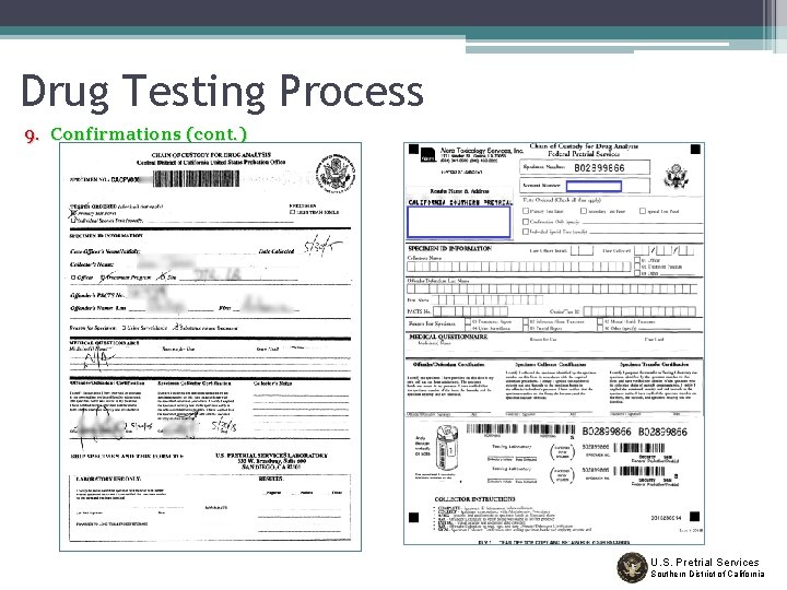 Drug Testing Process 9. Confirmations (cont. ) U. S. Pretrial Services Southern District of