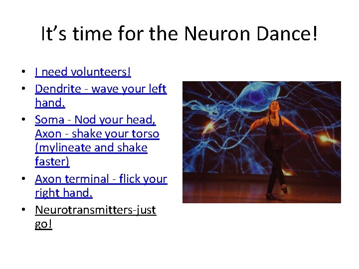 It’s time for the Neuron Dance! • I need volunteers! • Dendrite - wave
