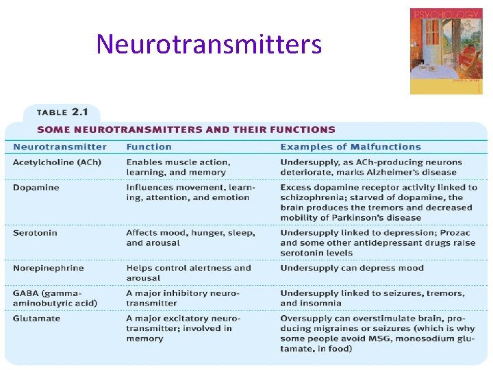 Neurotransmitters 