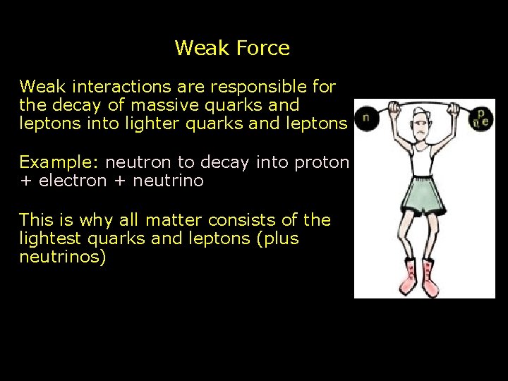 Weak Force Weak interactions are responsible for the decay of massive quarks and leptons