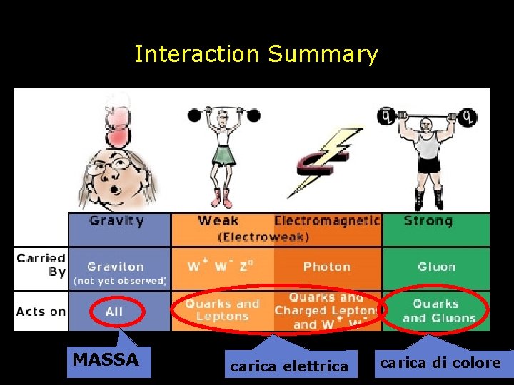 Interaction Summary MASSA carica elettrica carica di colore 