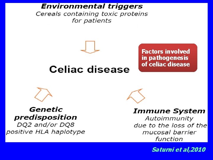 Factors involved in pathogenesis of celiac disease Saturni et al, 2010 