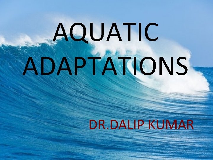 AQUATIC ADAPTATIONS DR. DALIP KUMAR 