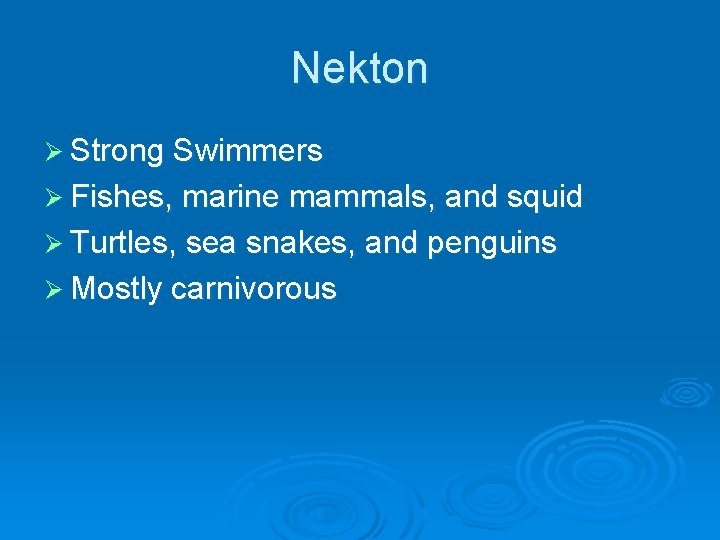 Nekton Ø Strong Swimmers Ø Fishes, marine mammals, and squid Ø Turtles, sea snakes,