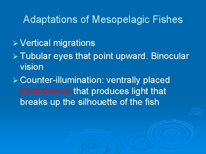 Adaptations of Mesopelagic Fishes Ø Vertical migrations Ø Tubular eyes that point upward. Binocular