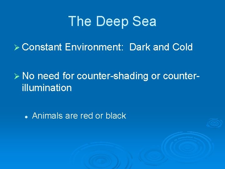 The Deep Sea Ø Constant Environment: Dark and Cold Ø No need for counter-shading