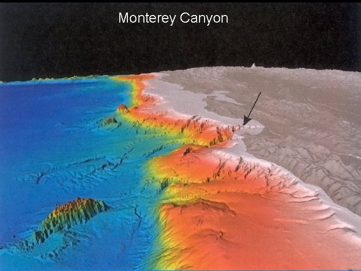 Monterey Canyon 