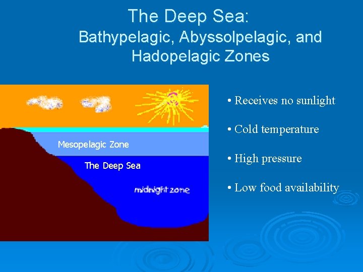 The Deep Sea: Bathypelagic, Abyssolpelagic, and Hadopelagic Zones • Receives no sunlight • Cold