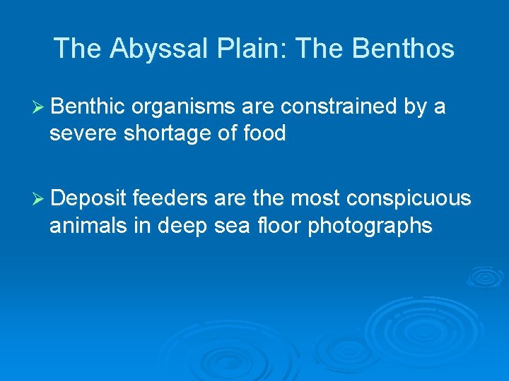 The Abyssal Plain: The Benthos Ø Benthic organisms are constrained by a severe shortage