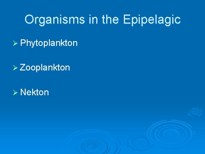 Organisms in the Epipelagic Ø Phytoplankton Ø Zooplankton Ø Nekton 