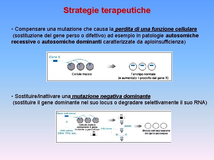 Strategie terapeutiche • Compensare una mutazione che causa la perdita di una funzione cellulare