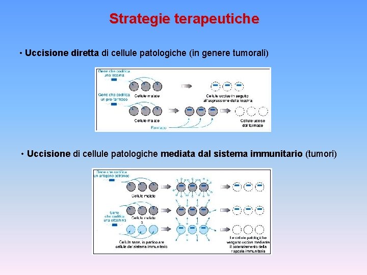 Strategie terapeutiche • Uccisione diretta di cellule patologiche (in genere tumorali) • Uccisione di