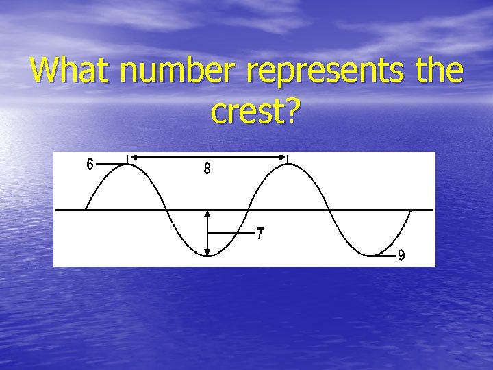 What number represents the crest? 